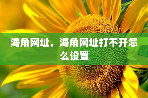 海角网址，海角网址打不开怎么设置
