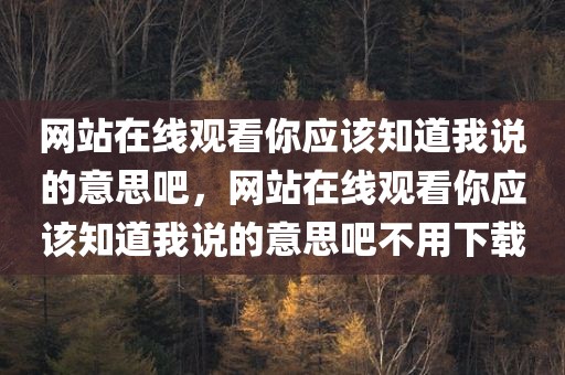 网站在线观看你应该知道我说的意思吧，网站在线观看你应该知道我说的意思吧不用下载
