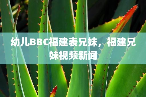 幼儿BBC福建表兄妹，福建兄妹视频新闻