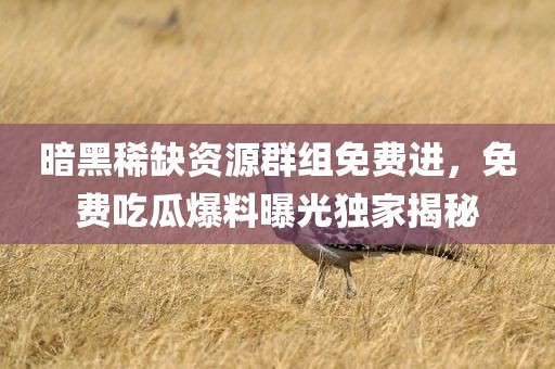 暗黑稀缺资源群组免费进，免费吃瓜爆料曝光独家揭秘