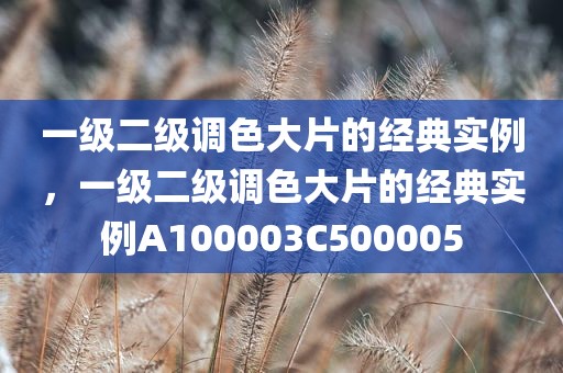 一级二级调色大片的经典实例，一级二级调色大片的经典实例A100003C500005