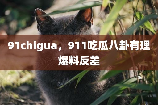 91chigua，911吃瓜八卦有理爆料反差