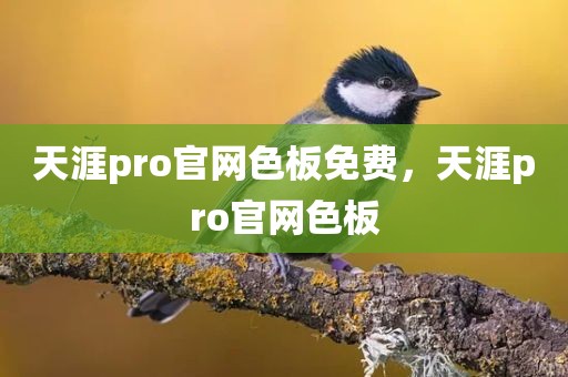 天涯pro官网色板免费，天涯pro官网色板