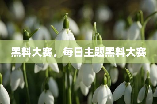 黑料大赛，每日主题黑料大赛