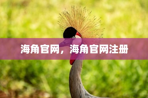 海角官网，海角官网注册