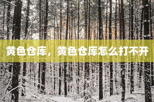 黄色仓库，黄色仓库怎么打不开