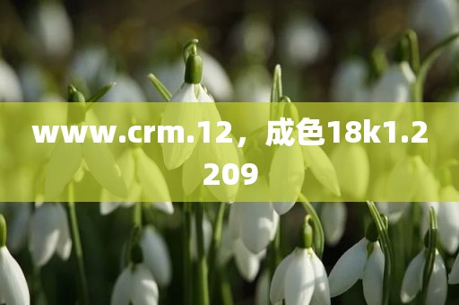 www.crm.12，成色18k1.2209