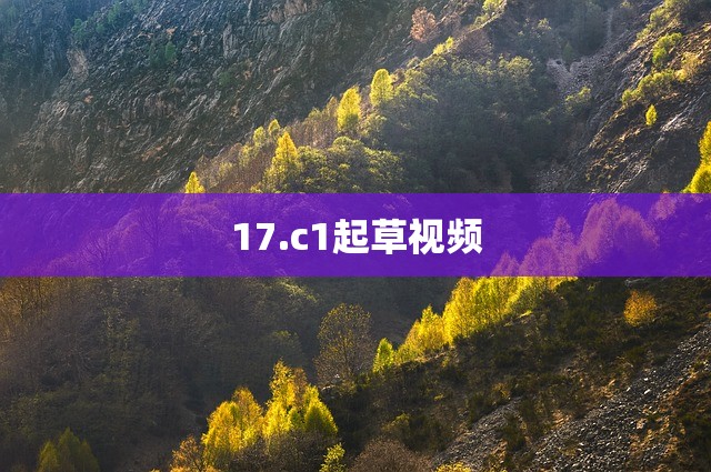 17.c1起草视频