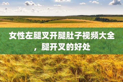 女性左腿叉开腿肚子视频大全，腿开叉的好处