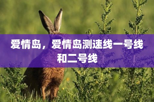 爱情岛，爱情岛测速线一号线和二号线