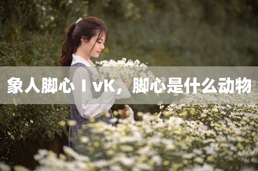 象人脚心ⅠvK，脚心是什么动物