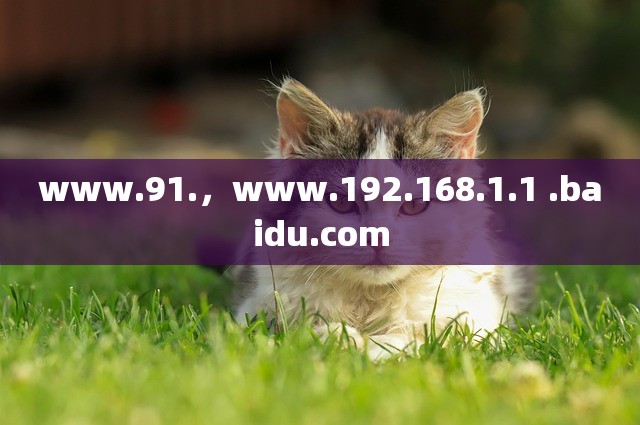 www.91.，www.192.168.1.1 .baidu.com