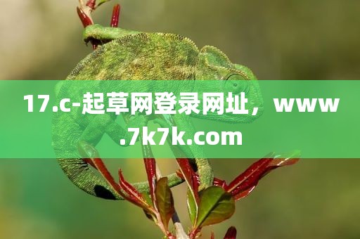 17.c-起草网登录网址，www.7k7k.com