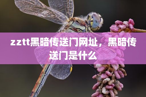 zztt黑暗传送门网址，黑暗传送门是什么