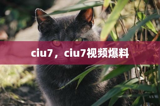ciu7，ciu7视频爆料
