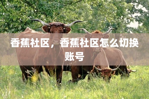 香蕉社区，香蕉社区怎么切换账号