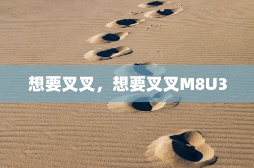 想要叉叉，想要叉叉M8U3