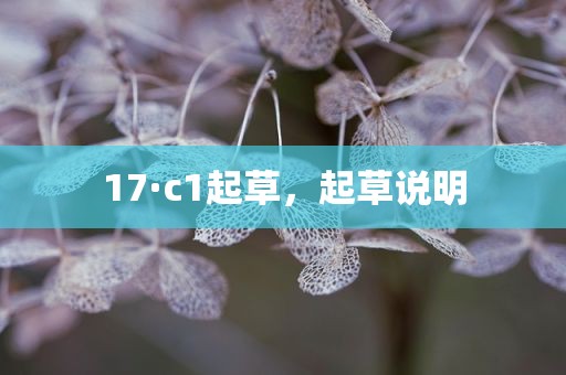 17·c1起草，起草说明