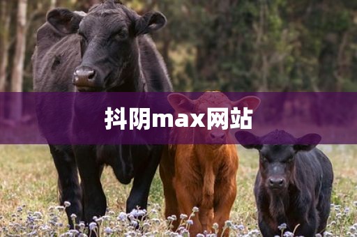 抖阴max网站