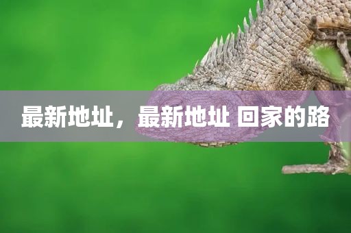 最新地址，最新地址 回家的路