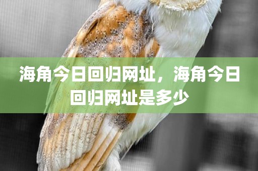海角今日回归网址，海角今日回归网址是多少