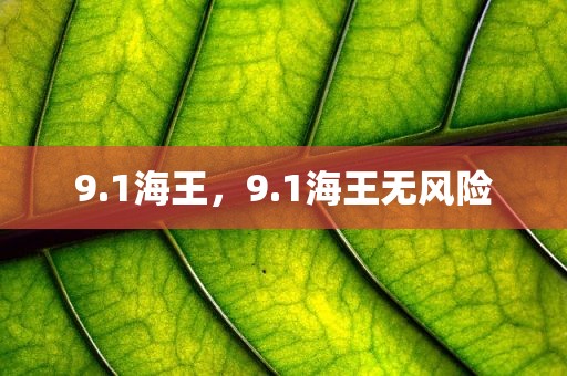 9.1海王，9.1海王无风险