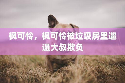 枫可怜，枫可怜被垃圾房里邋遢大叔欺负