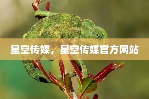 星空传媒，星空传媒官方网站