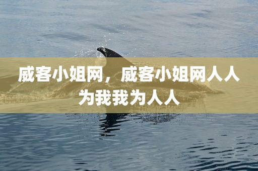 威客小姐网，威客小姐网人人为我我为人人
