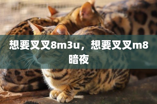 想要叉叉8m3u，想要叉叉m8暗夜