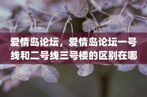 爱情岛论坛，爱情岛论坛一号线和二号线三号楼的区别在哪