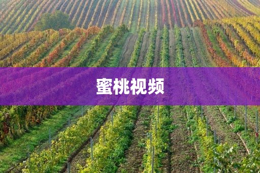 蜜桃视频