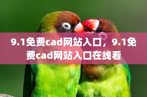9.1免费cad网站入口，9.1免费cad网站入口在线看