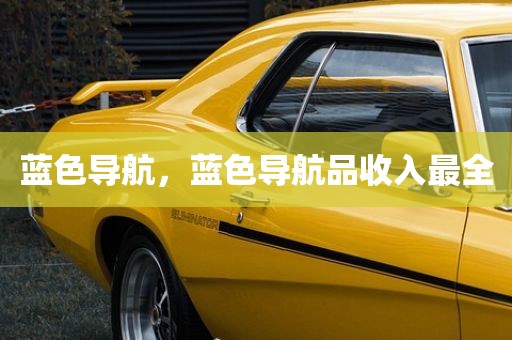 蓝色导航，蓝色导航品收入最全