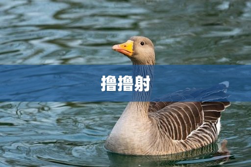 撸撸射