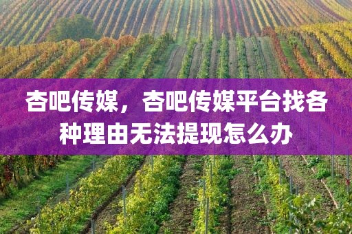 杏吧传媒，杏吧传媒平台找各种理由无法提现怎么办