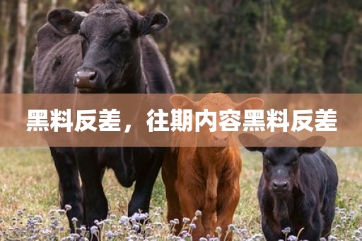 黑料反差，往期内容黑料反差