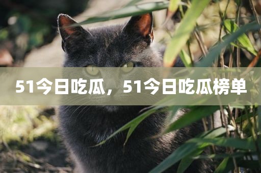51今日吃瓜，51今日吃瓜榜单