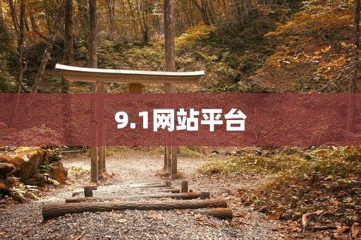 9.1网站平台