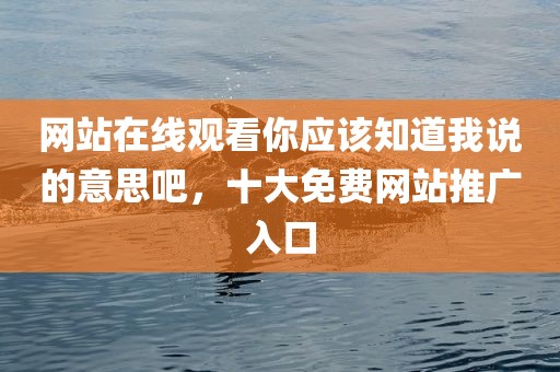 网站在线观看你应该知道我说的意思吧，十大免费网站推广入口