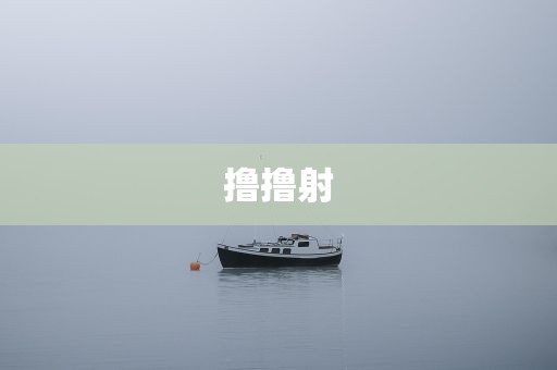 撸撸射