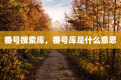 番号搜索库，番号库是什么意思