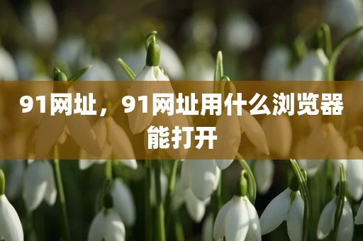 91网址，91网址用什么浏览器能打开