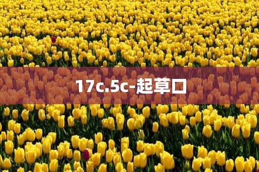 17c.5c-起草口