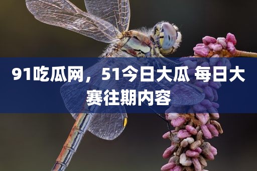91吃瓜网，51今日大瓜 每日大赛往期内容
