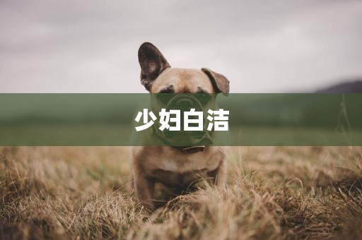 少妇白洁