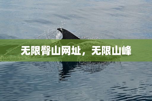 无限臀山网址，无限山峰
