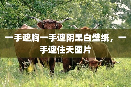 一手遮胸一手遮阴黑白壁纸，一手遮住天图片