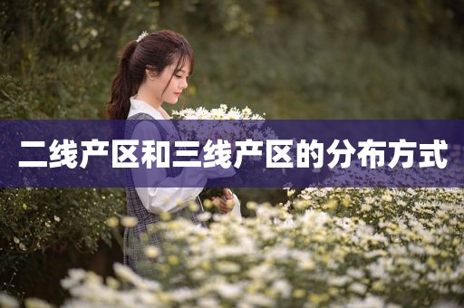 二线产区和三线产区的分布方式