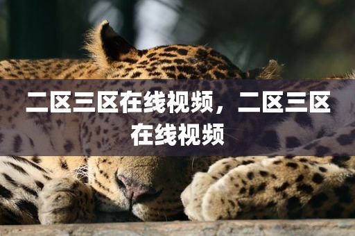 二区三区在线视频，二区三区在线视频